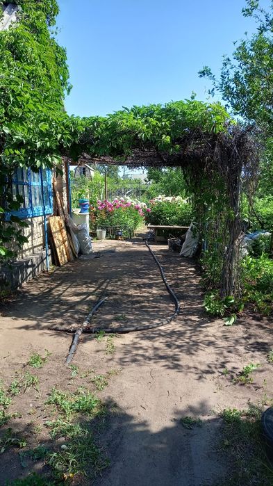 Продам дачу с/о Краснопартизанское