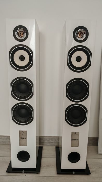 Boxe triangle esprite gaia ez