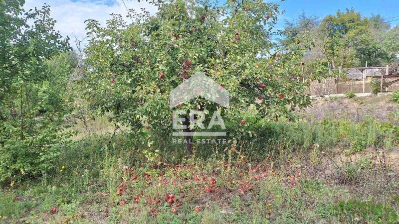 Продава се Парцел в Варна, м-т Боровец - юг - 1236 кв.м за 37 €/кв.м - Снимка #6