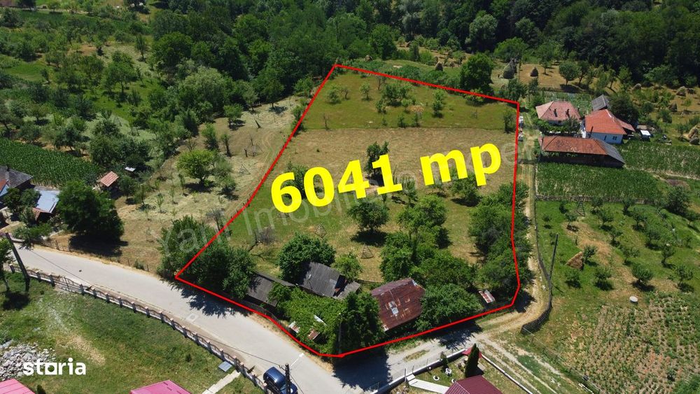 Teren de vânzare în comuna Cicănești, județ Argeș.