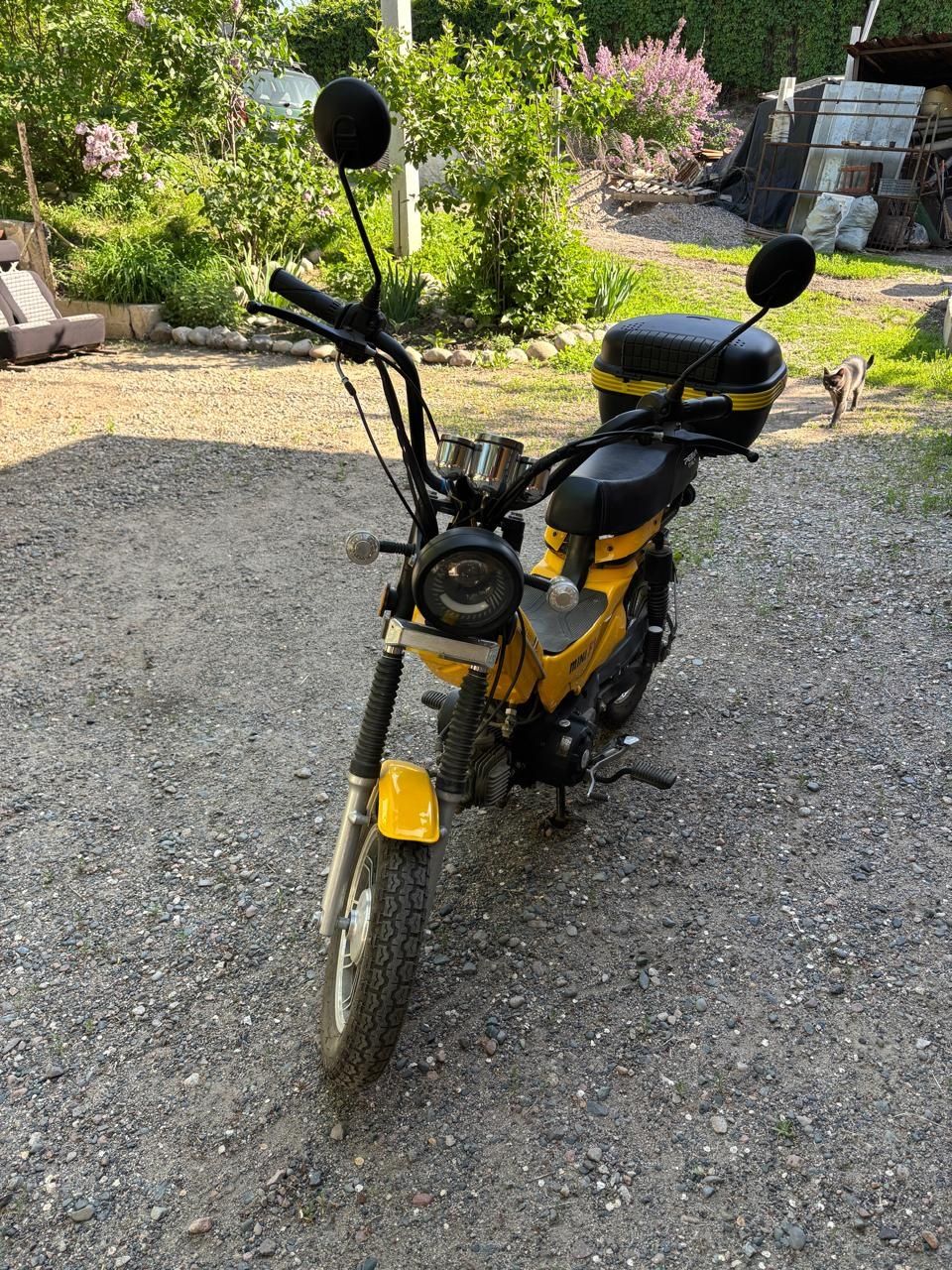 Мопед Peda Mini F1
