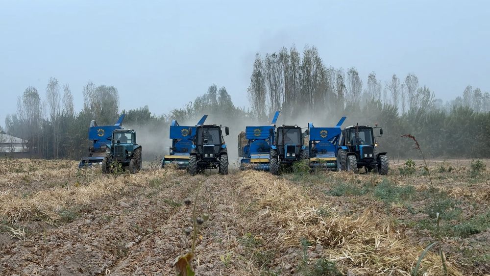 Universal  aparat  Fasol Noxat Mosh Soya chiqaradigan kanbayin