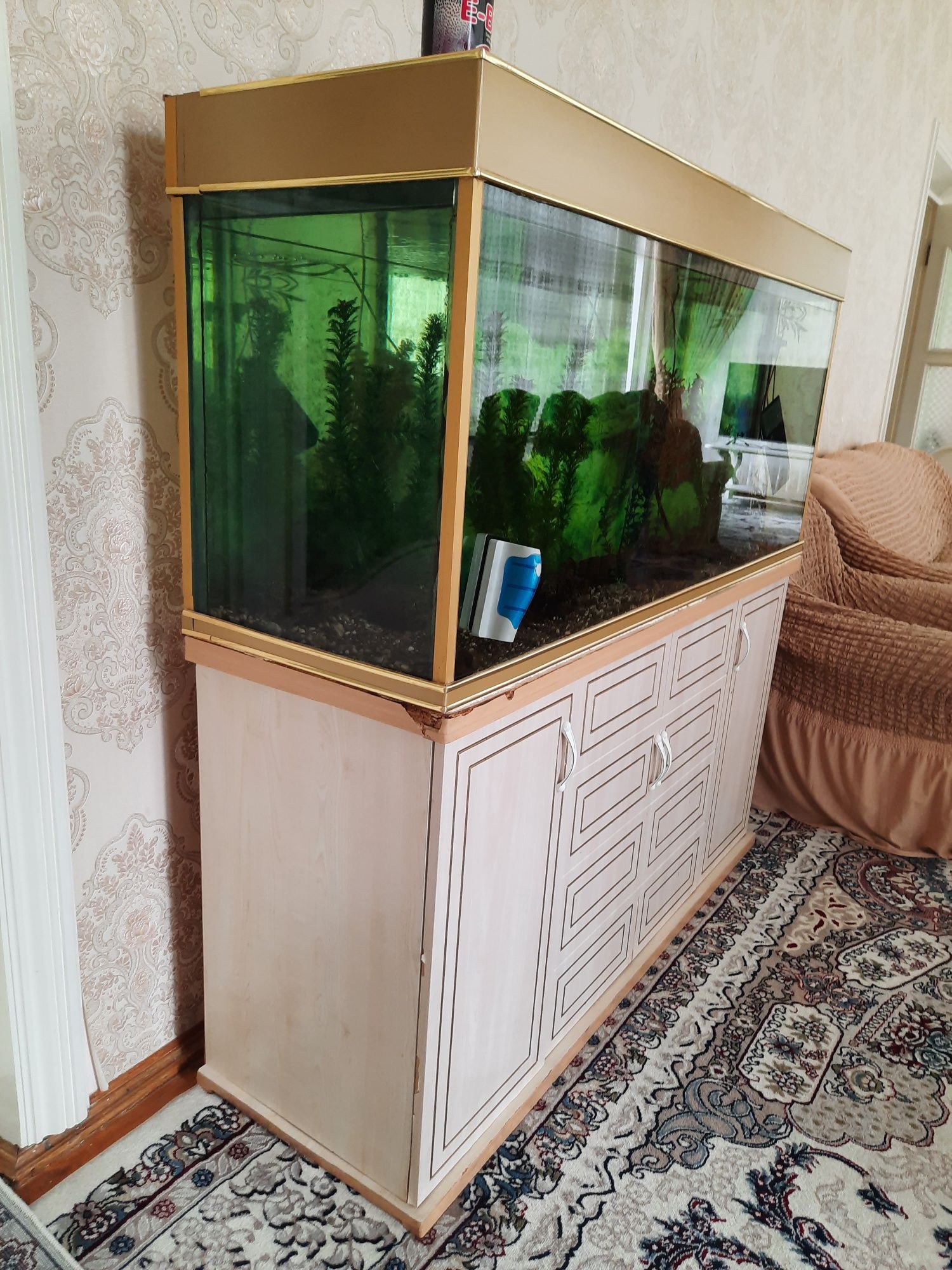 Срочно продается! Аквариум