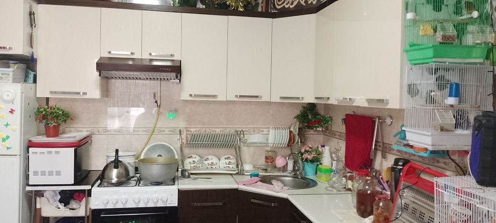 Keles novoiyda uchaska sotiladi