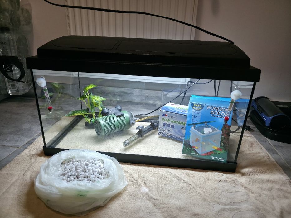 Set complet acvariu 40l