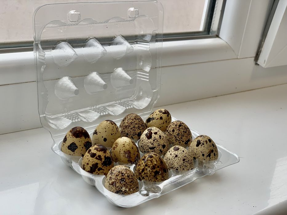 Пъдпъдъчи яйца за консумиране и люпене