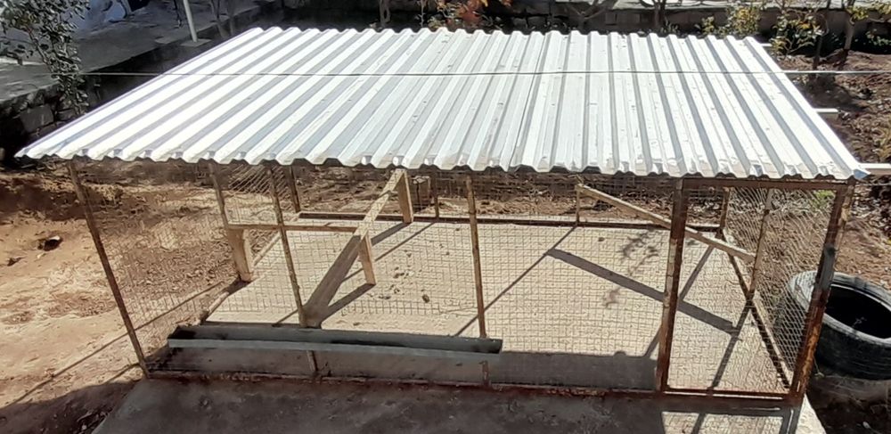 Катак товуклар учун