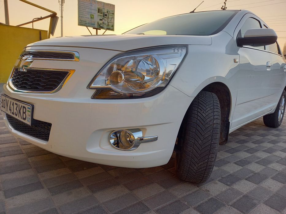 Коблыт сотыладии