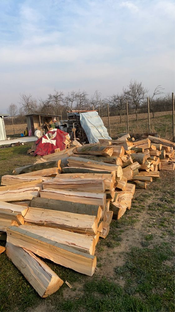 Sc vindem lemne de foc la cele mai mici prețurii