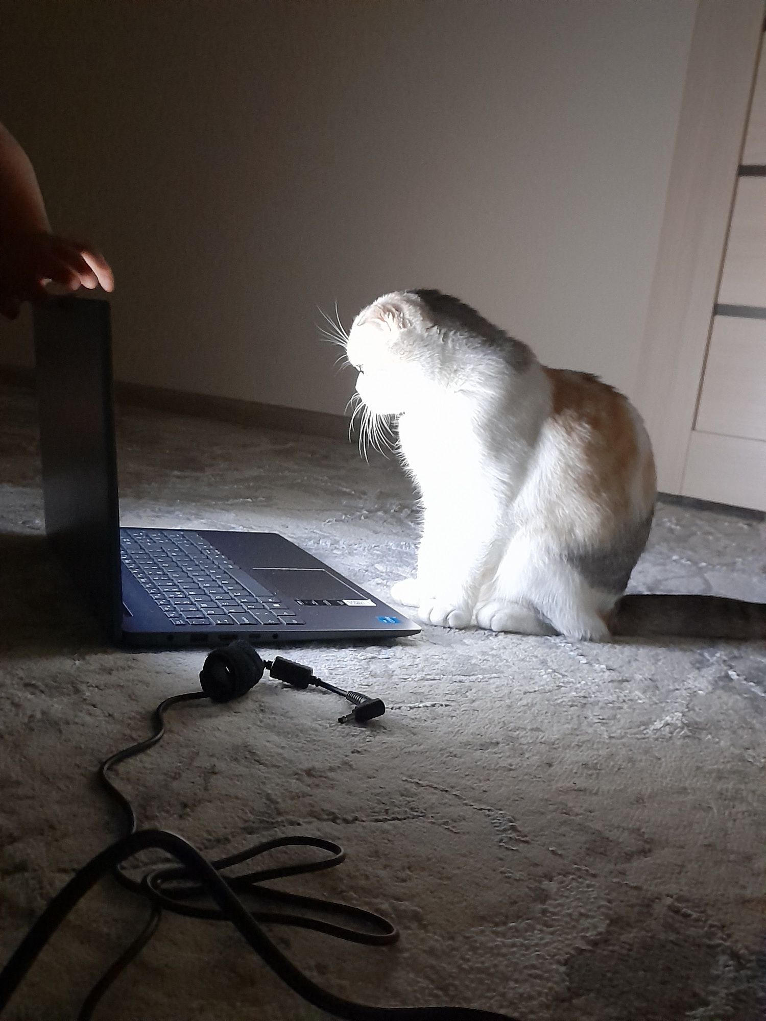 Vyazka uchun sotilmaydi berb yuborilmaydì