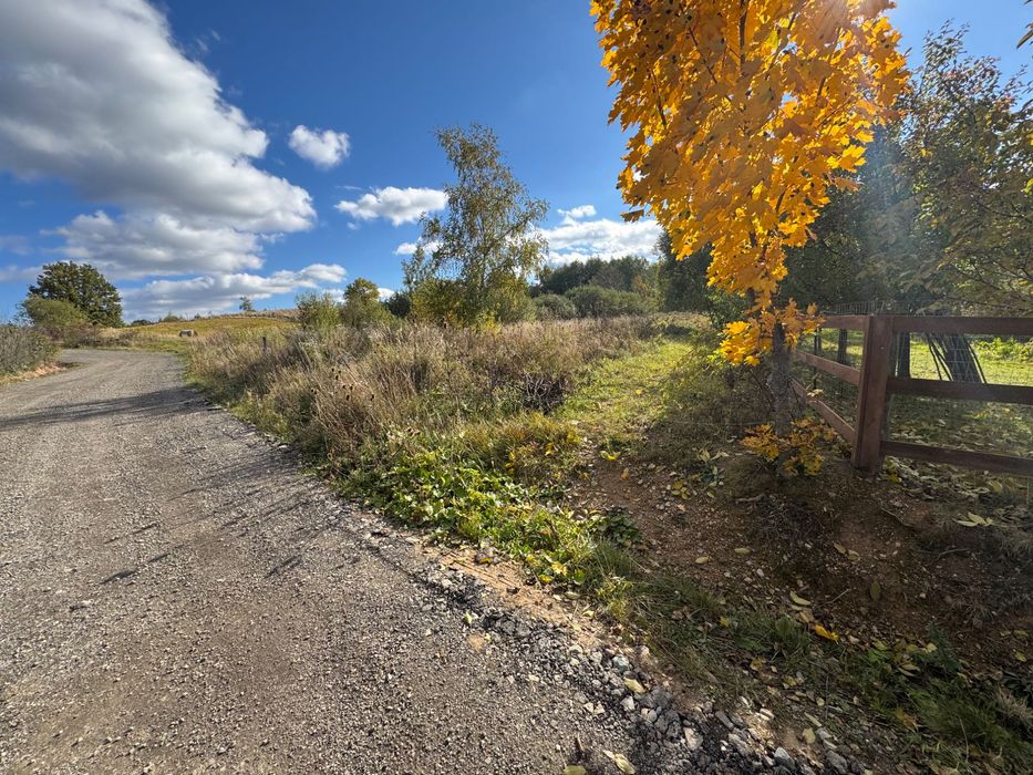 Teren intravilan Balcesti