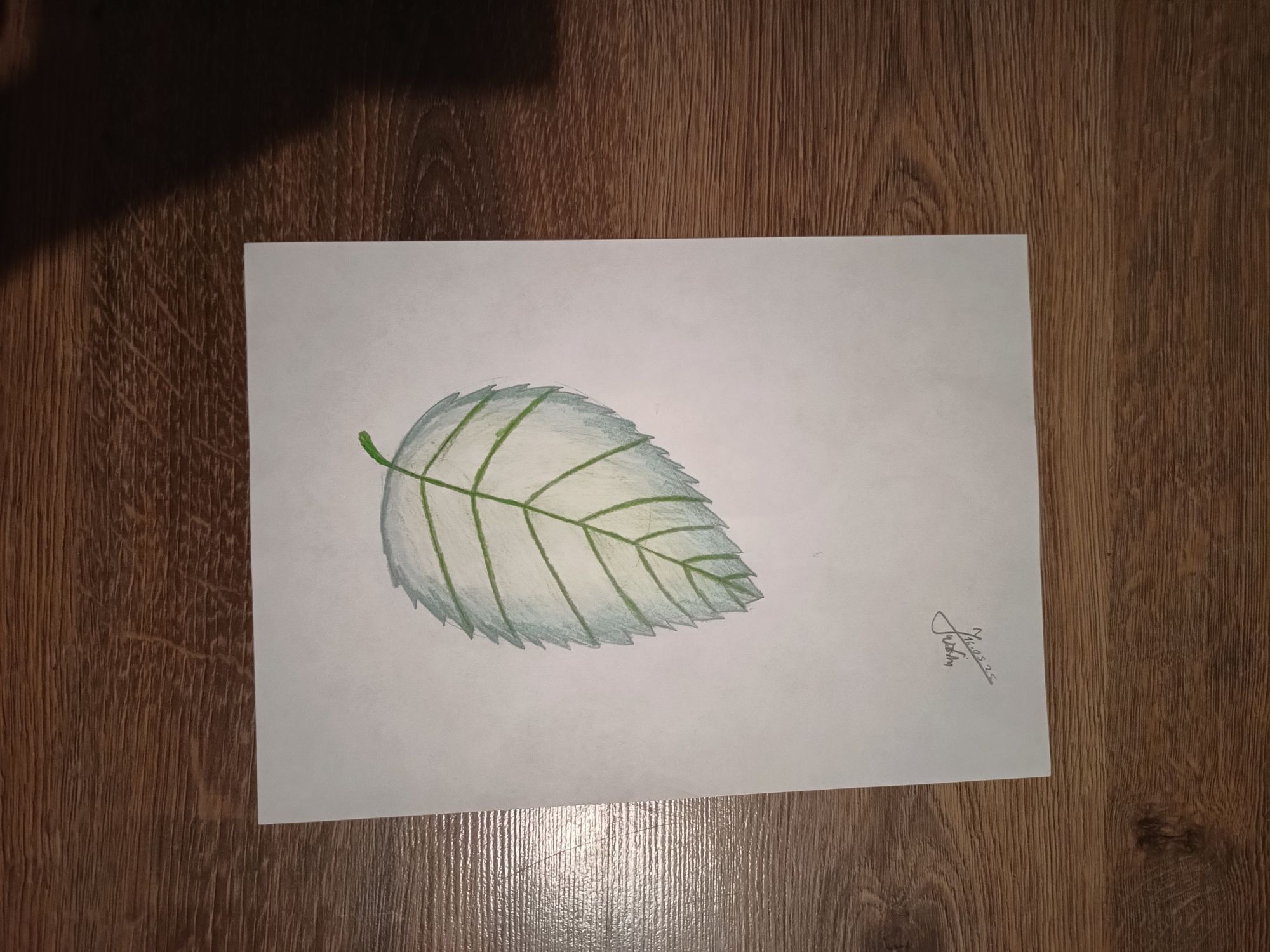 De vânzare desene in creion 15-20 lei