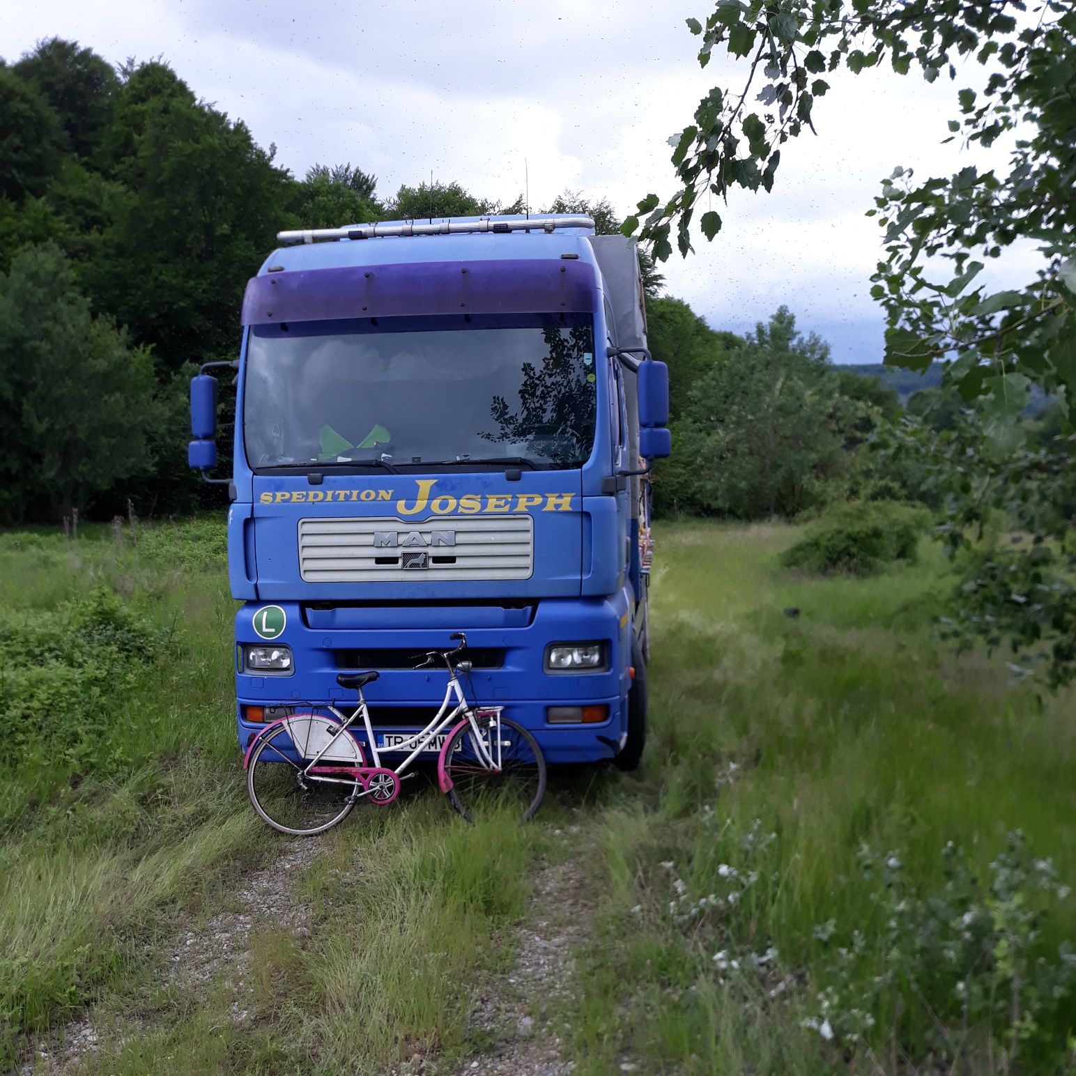 Camion apicol de vanzare MAN
