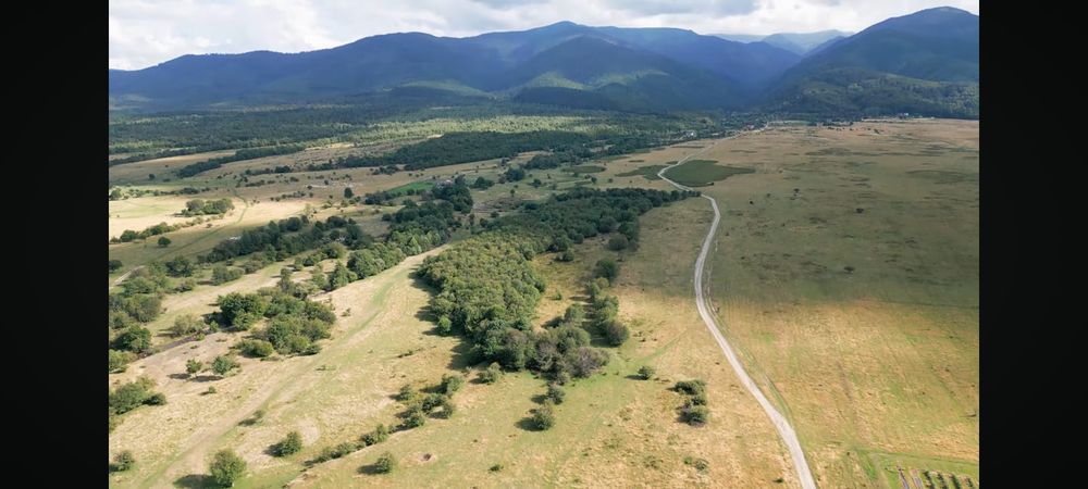 Teren Valea Berivoi 50 metri de parau 4500 m2