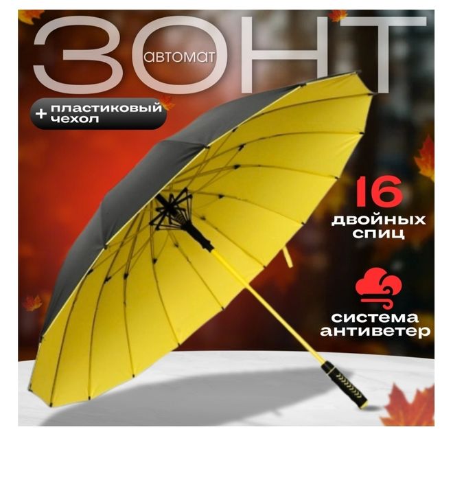 Зонтик хит сезона