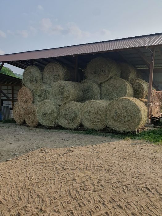 Baloți lucerna fan și paie de orzoaica