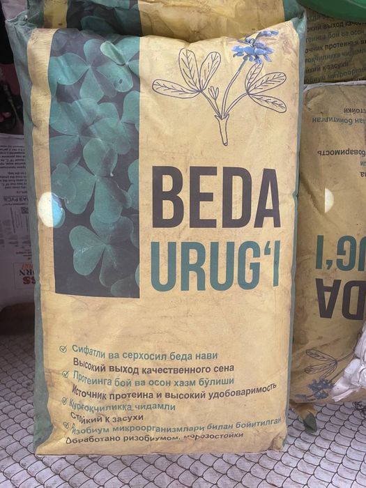 Sifatli Beda urugi