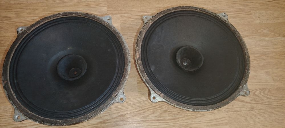 Raritate Electronica 12,5 W 6, 3 OHM  30 cm