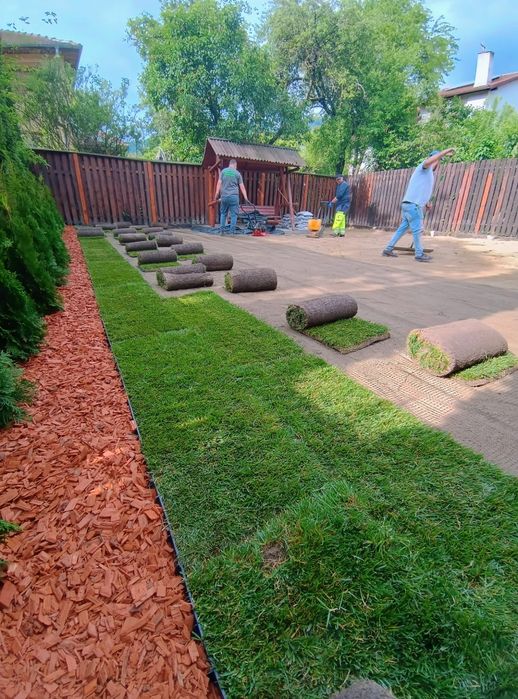 Irigații • Gazon ruloui • Platări tuia• Tuns iarba