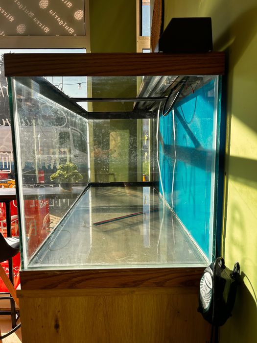 Аквариум за дома