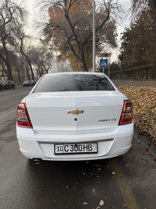 Cobalt 2024, пробег 17500