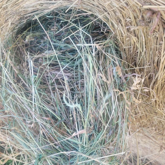 Baloti de fân rotunzi