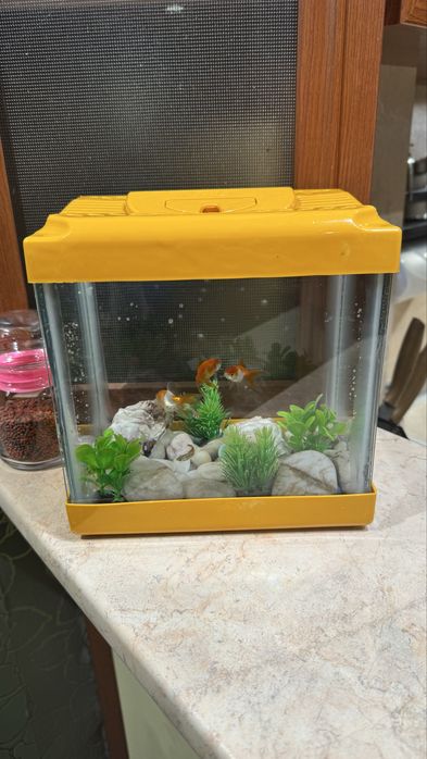 2 бр. аквариум с помпи и рибки