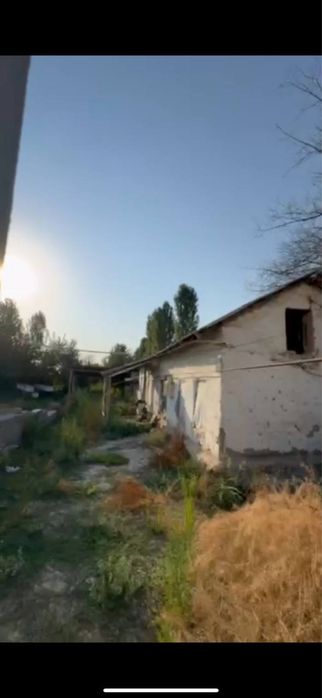 Yer uchastkasi hosildor yer kelishamiz kimga qizu bosa