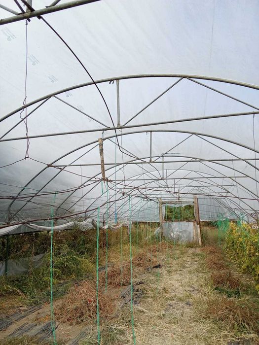 SOLAR Vulcana Pandele