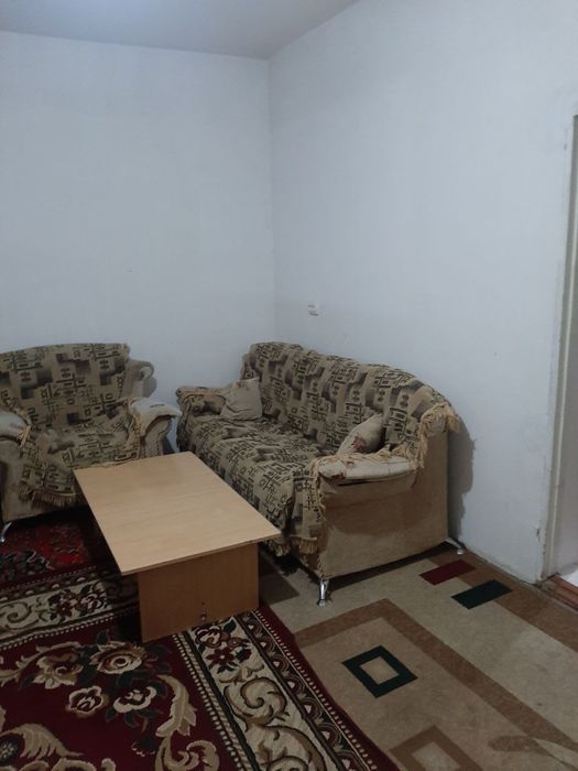 Ттз. Алиса.  Кафе