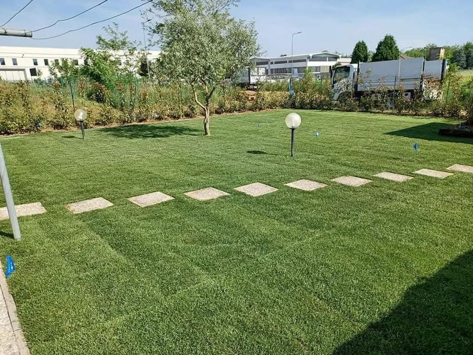 Gradinar cu experiență: tuns iarba/amenajari gradini/spatii verzi