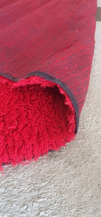 Китеник вълнен, губер