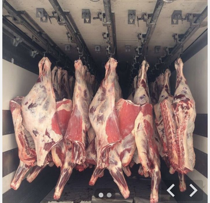 Жылқы еті мясо конина