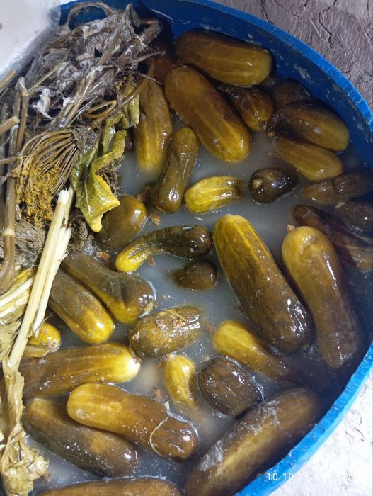 Бочковой тузланган бодринг. 1 килограмм 8000 су́м.