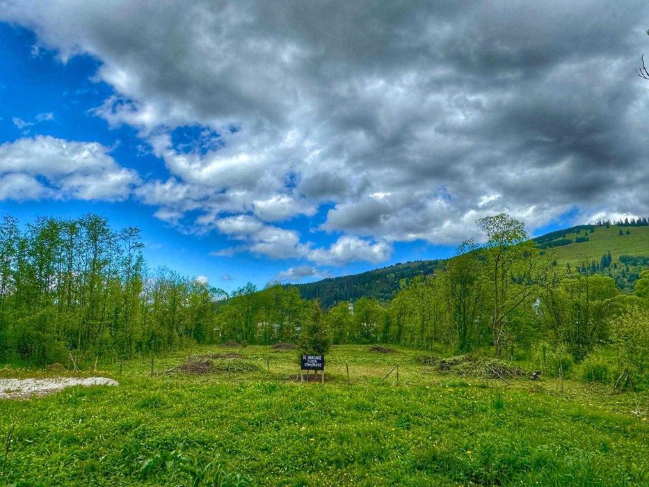TEREN Intravilan -Intabulat Dorna-Arini