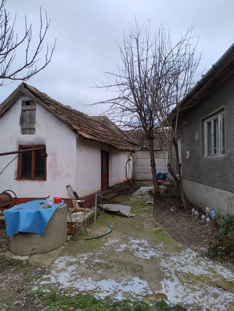Case de vanzare in sat Taut, la 50 km de Oradea
Utilitarian - apa cur