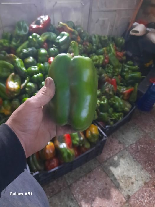 Gogosar verde și ardei de vinzare