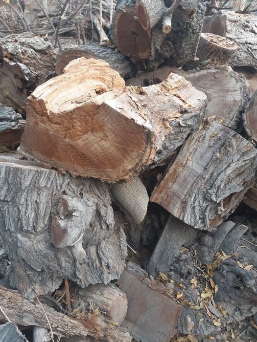 O'tin sotiladi quruq Srochni || Утин сотилади курук утинСрочни