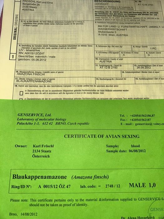 Amazon Vinci maturi caută o nouă casă