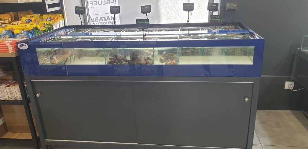 аквариум для морепродуктов