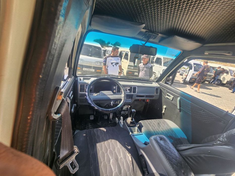 Damas sotildi serochny