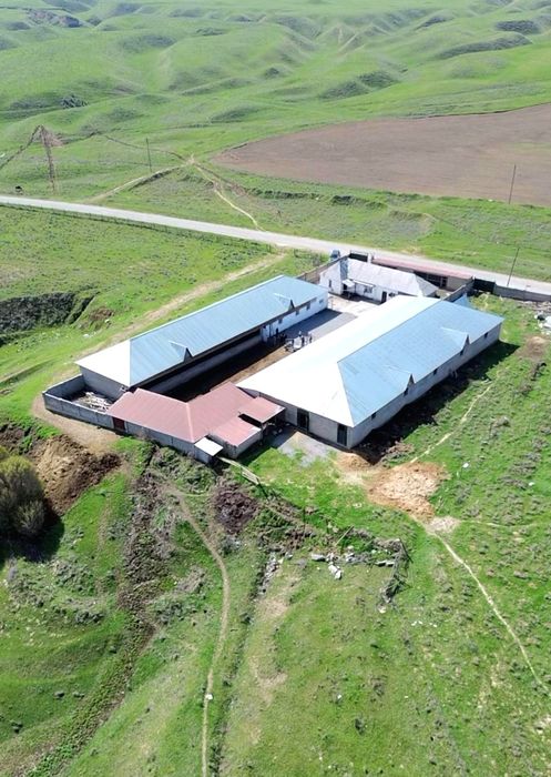 Действующая кашара в с.Касымбек Датка, 5 га.