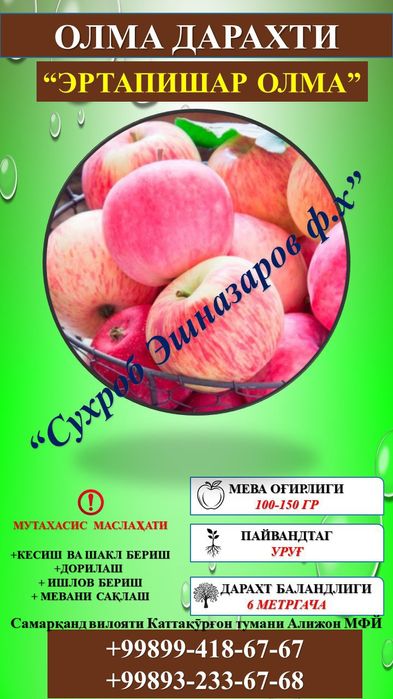 Мевали кўчатлар сифатли ва ишончли