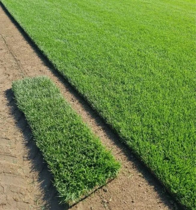 Gazon rulou - ferma gazon - irigatii