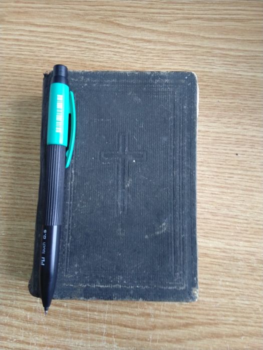 Biblie Germania 1925