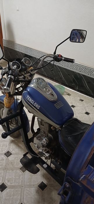 Муравей Tenglong