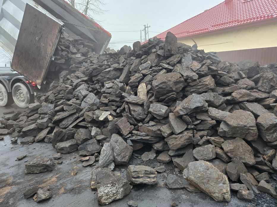 Lemn de foc/ carbuni lignit