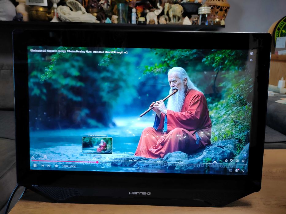 HANNspree HT231HPB 23-Inch Touch Screen HDMI Full HD LED Monitor