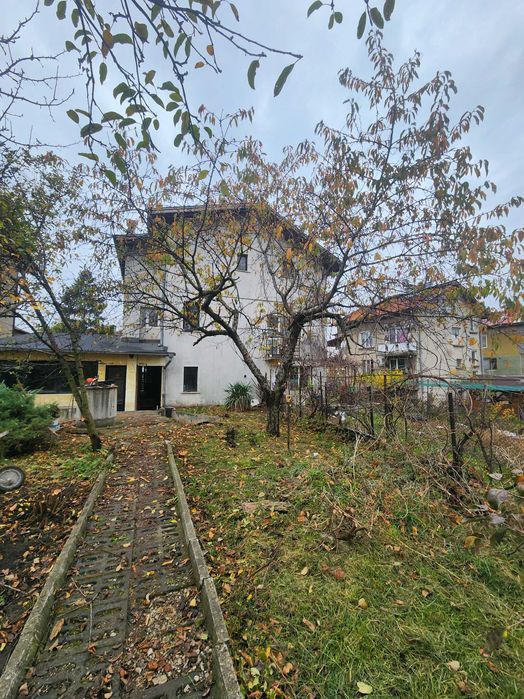 Рязане на Опасни Дървета