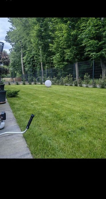 Tuns Iarbă/Defrișări/Toaletare Arbori 24/7.